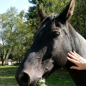 Meet your Posher, Gloria